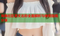 海角社区英文名称全面解析与使用指南分享