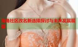海角社区改名新选择探讨与未来发展展望