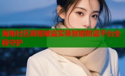 海角社区房屋被盗实录智能防盗平台全程守护