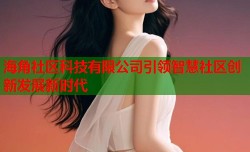 海角社区科技有限公司引领智慧社区创新发展新时代