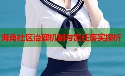 海角社区治理机制与责任落实探析