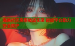 海角社区房屋被盗实录 智能平台助力安全防护