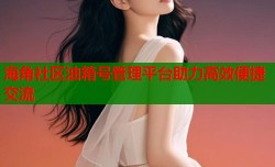 海角社区油箱号管理平台助力高效便捷交流