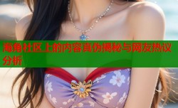 海角社区上的内容真伪揭秘与网友热议分析