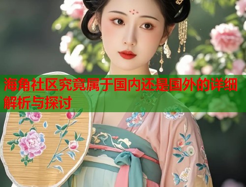海角社区究竟属于国内还是国外的详细解析与探讨  第2张