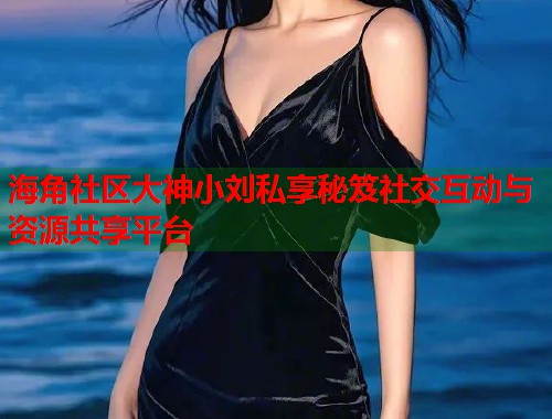 海角社区大神小刘私享秘笈社交互动与资源共享平台  第1张