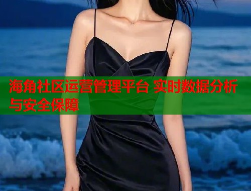 海角社区运营管理平台 实时数据分析与安全保障  第1张